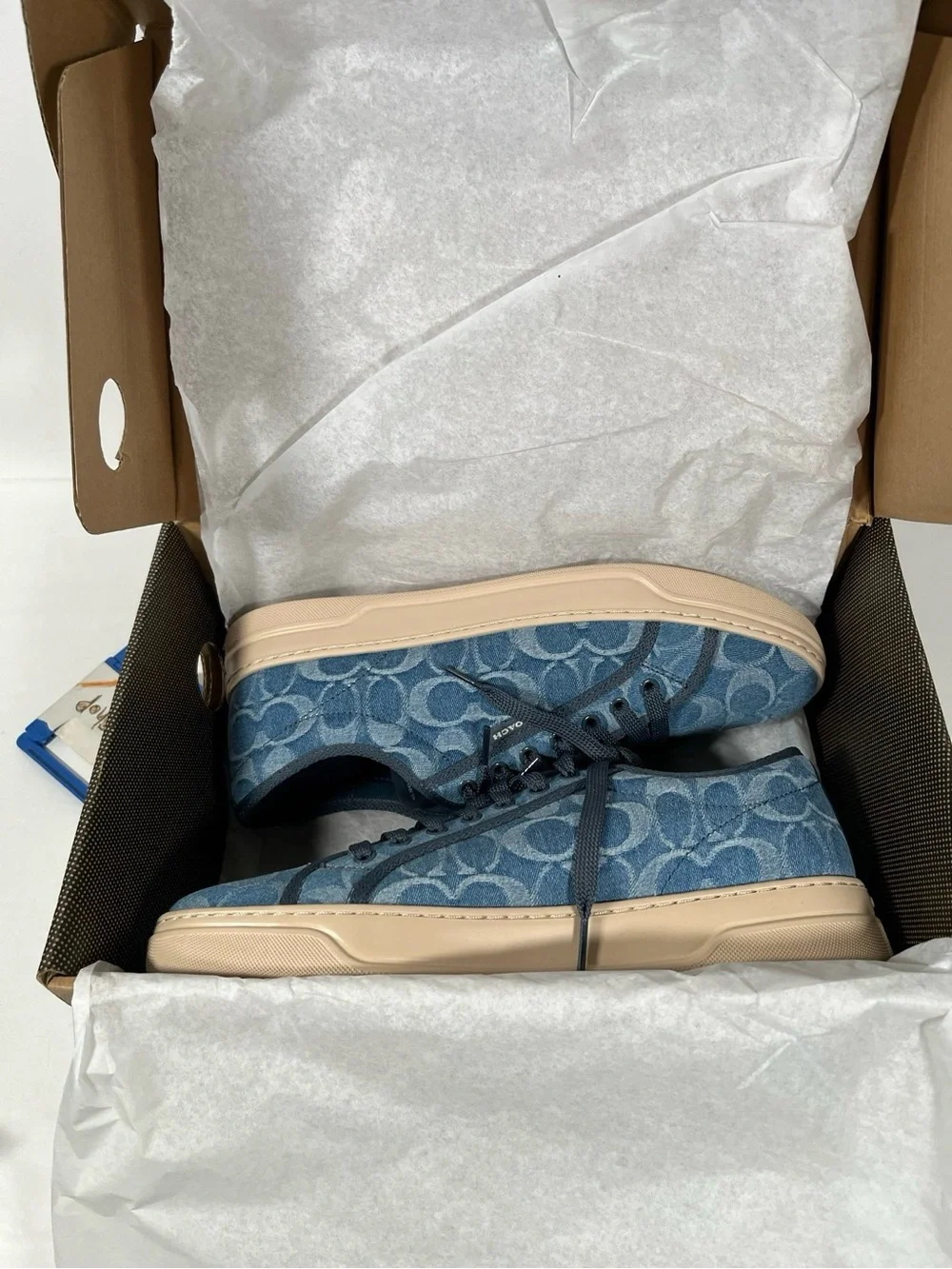 Coach canvas sneaker